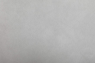 Solid light gray color swatch