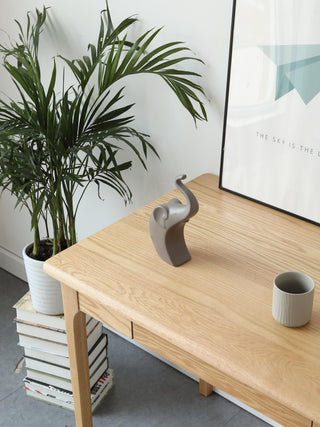 efficient paolo oak study table for students