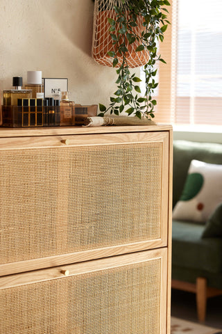 kiara sliding door shoe cabinet