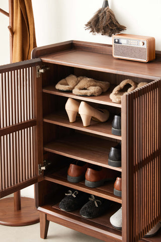 lana shoe cabinet storage
