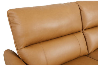 molly brown leather electric reclining sofa