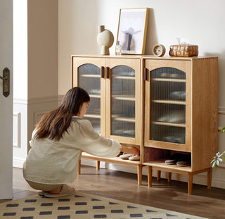 shoe organizer sari