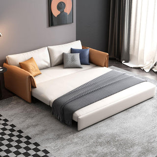 thea pull out storage couch bed