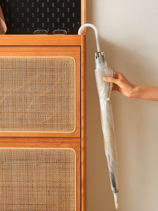 yara shoe cabinet storage compact
