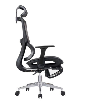 Paul Ergonomic Chair