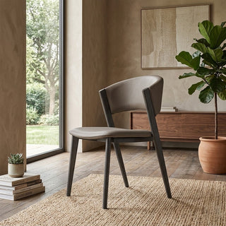 Modern dining chair in a room with a plant and books on a rug