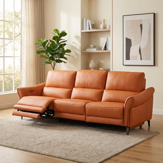 Orange leather sofa in a living room with a plant and bookshelf.