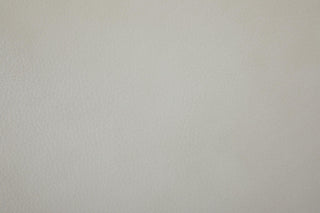 Solid light gray color swatch