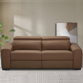 Brown sofa in a room with a abstract painting and plant