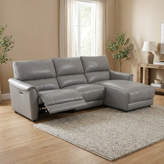 grey sectional sofa in a living room with a rug and plants.