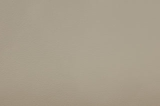 Solid beige color swatch