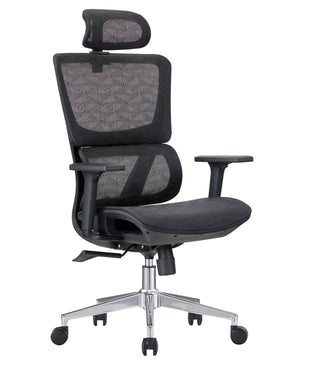 paul ergonomic chair mesh