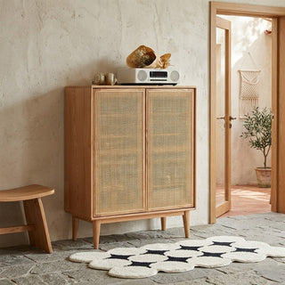 rattan shoe cabinet with woven doors in a room with a rug and plant