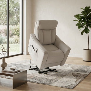recliner armchair for elderly in a modern living room with a plant and bookshelf.
