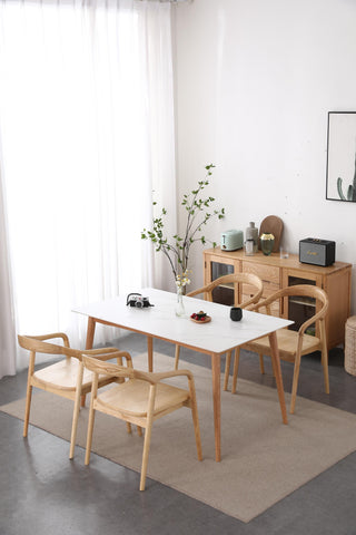 riccardo minimalist dining table
