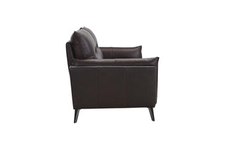 Brown leather sofa side view