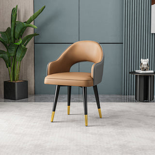 dual tone dinng chair with arm rest